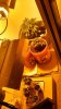 IMG_20131002_234626_146.jpg