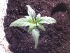 20131004_132826.jpg