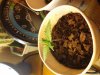 20131005_172907.jpg 20131005_172907.jpg