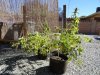 DSC01875.jpg