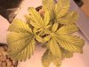 DSC00125.jpg