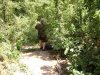 DSC01337.JPG