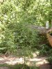 DSC01338.JPG