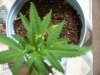 100_0718.jpg