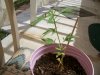 100_0714.jpg
