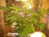 100_0722.jpg