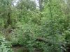 DSC01640.JPG