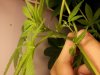 20131005_183412.jpg