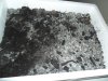 grow 431.jpg