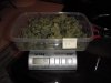 GROW_10.6.13 012.jpg