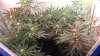 20131007_215138.jpg
