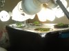 DSC01692.jpg