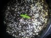 plant 2.jpg