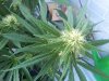 20131004_141055.jpg 20131004_141055.jpg