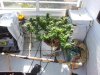 20131007_152211.jpg 20131007_152211.jpg