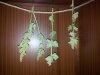 20131008_105746.jpg 20131008_105746.jpg