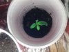 20130928_162414.jpg 20130928_162414.jpg
