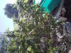 20131010_134152.jpg