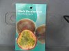 passionfruit 004.jpg passionfruit 004.jpg