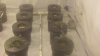 134_1879.jpg