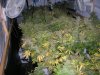 DSCN4481.jpg