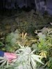 DSCN4479.jpg