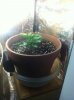 photo 2 (2).jpg