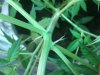 IMG_20131012_185131.jpg