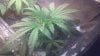 2013-10-12_15-23-59_933.jpg 2013-10-12_15-23-59_933.jpg