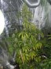 DSCN0214.jpg