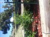 20130918_091516.jpg