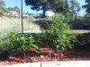20130918_091524.jpg
