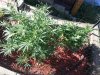 20130918_091544.jpg