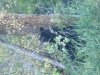 20130924_180244.jpg