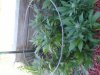 20130925_103428.jpg