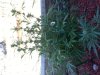 20130925_103435.jpg