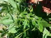 20131001_152901.jpg