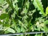 20131001_153026.jpg