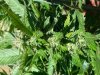 20131001_153041.jpg