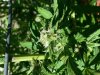 20131001_153129.jpg