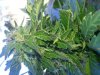 20131006_111346.jpg
