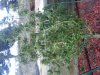 20131008_174248.jpg