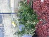 20131008_174254.jpg