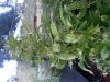 20131008_174309.jpg
