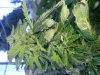 20131008_174318.jpg
