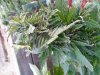 20131009_080654.jpg