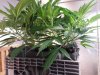 20131011_110453.jpg