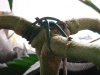 20131011_110522.jpg