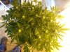 20131010_102225.jpg