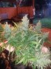 20131014_073701.jpg